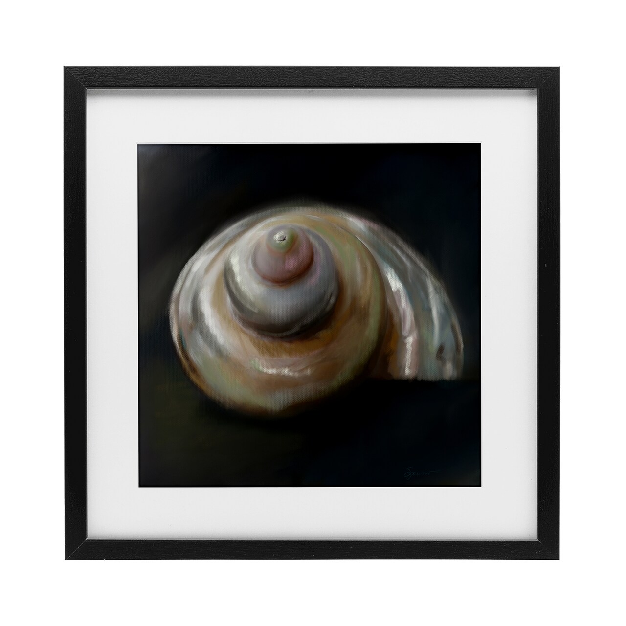 Stupell Industries Swirled Seashell Sea Treasure Framed Print Under Glass, design by Mary Sparrow